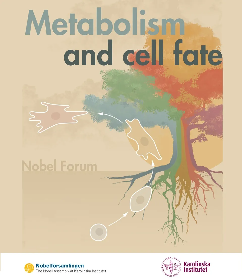 Image of the text about Nobel mini-symposium.