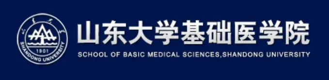 School of basic medical sciences Shandong University