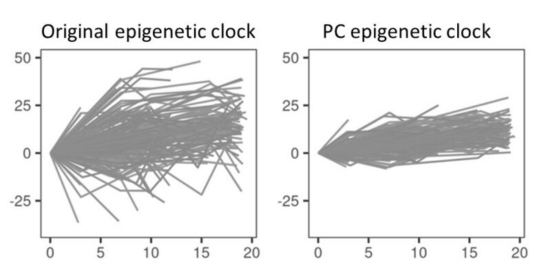 Schematic representation of how the reliability of the epigenetic clock is improved in the new principal component clock in longitudinal samples.