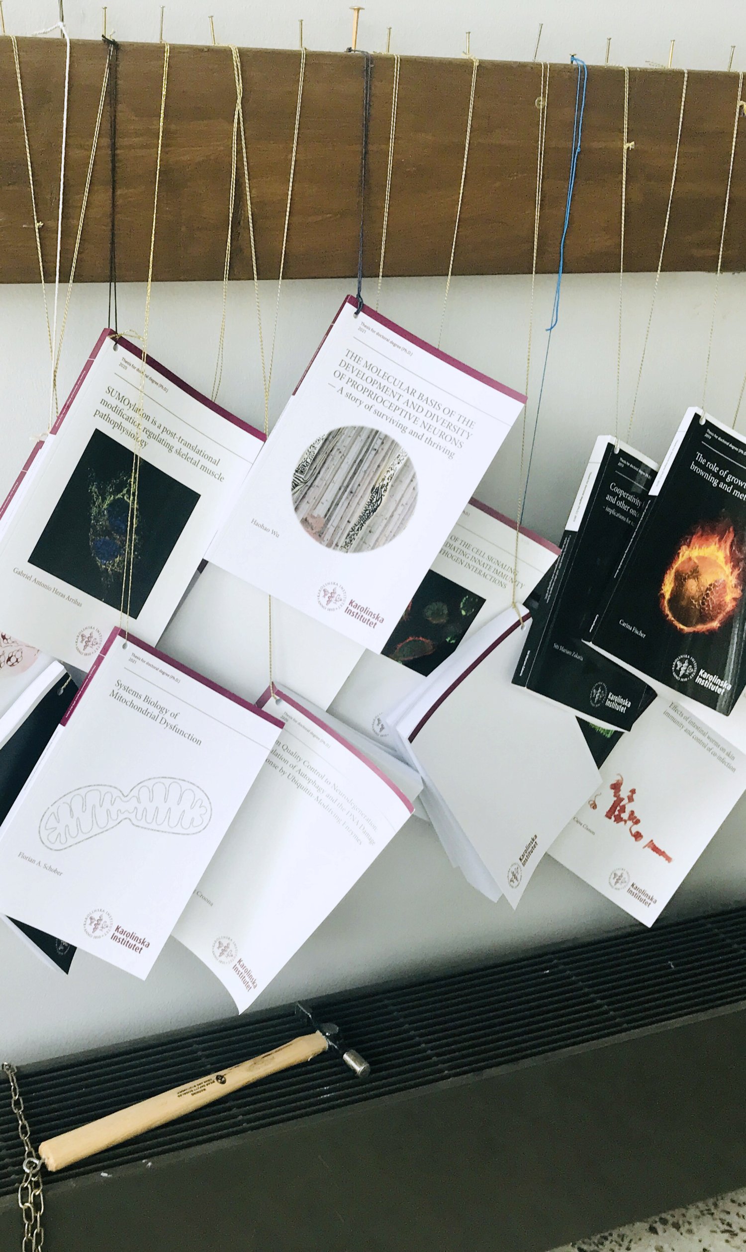 Books hanging on twines, nailed to a plank horizontally on the wall. Beneath the books lies a hammer.