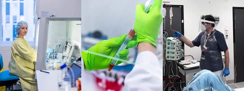 Three images side by side showing a person working in a lab and wearing a hair net, a pair of hands with green gloves holding a test tube and a doctor treating a patient in hospital.