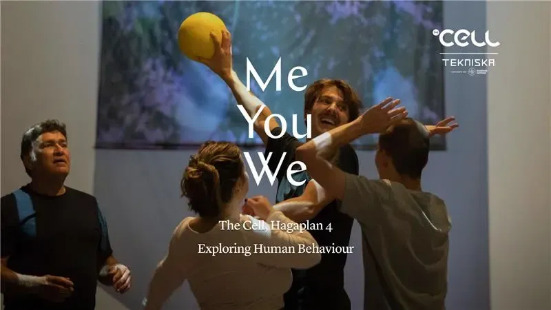 Detail from Gabriel Fontana's work from the exhibition You.