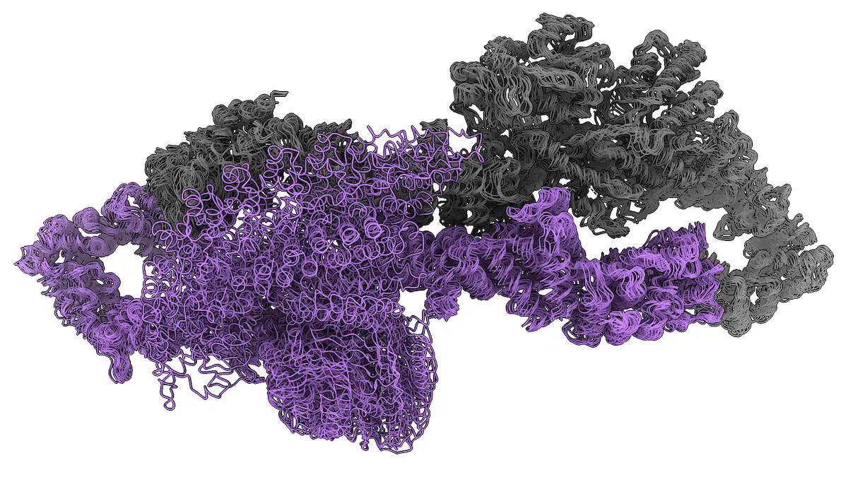 3D-illustration of a protein in purple and grey.