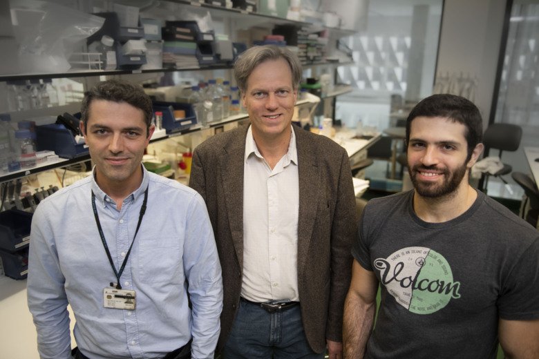 Vasco Sousa, Per Svenningsson and Ioannis Mantas at the Department of Clinical Neuroscience