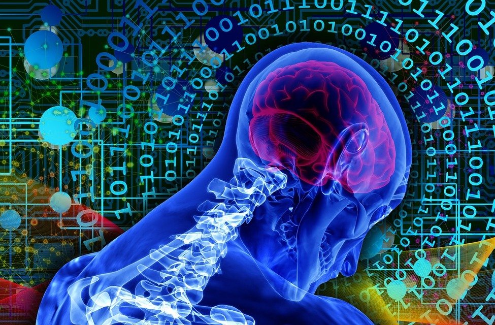 Symbolic illustration of AI: A human figure in cross-section in the foreground, showing the brain and spine. The figure is surrounded by ones and zeros, patterns and colors.