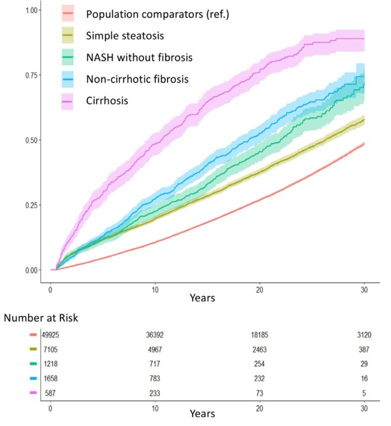 A graph that shows the differences in mortality at different stages of fatty liver disease