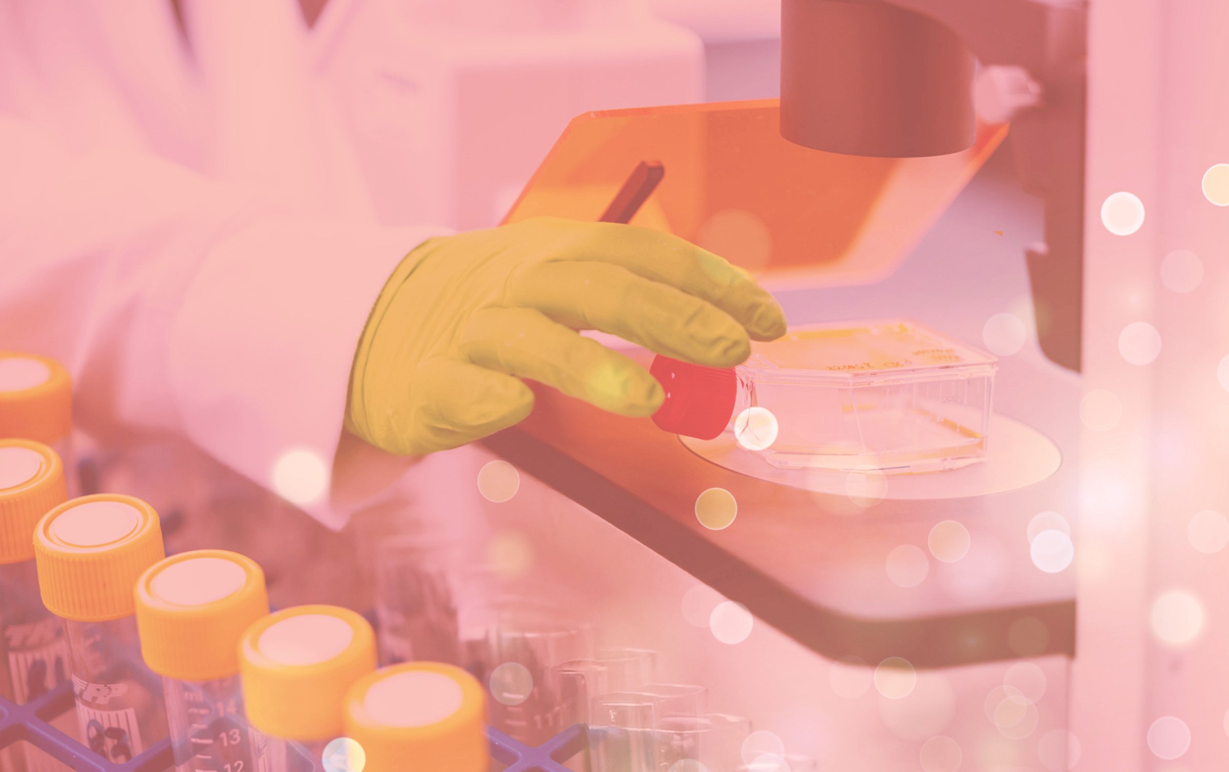 Research image from lab