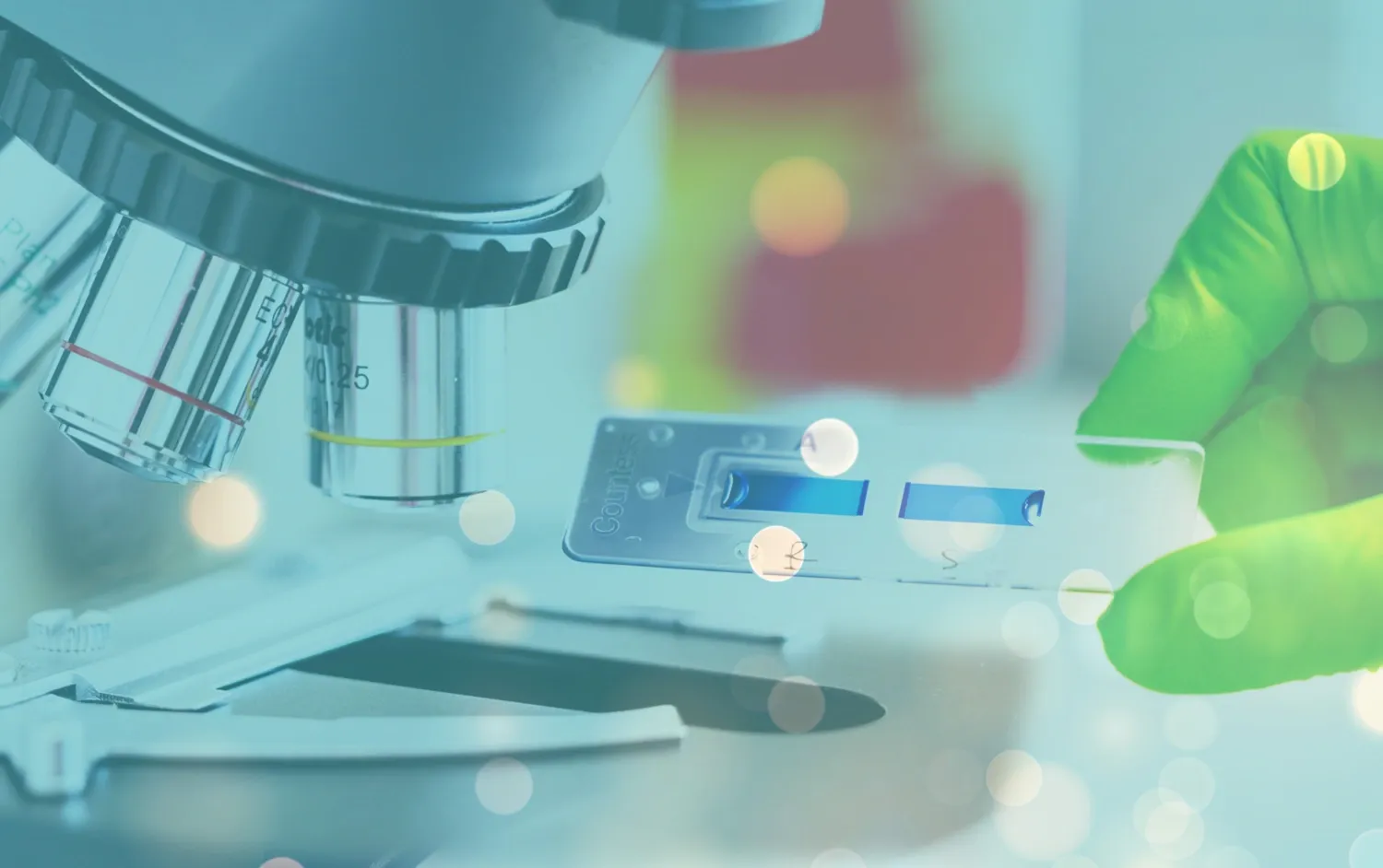 Research image from lab