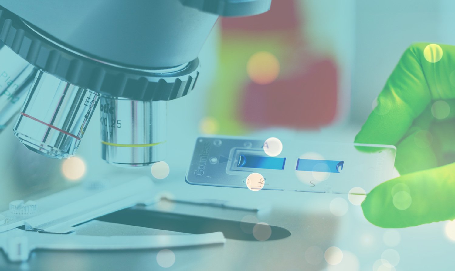 Research image from lab