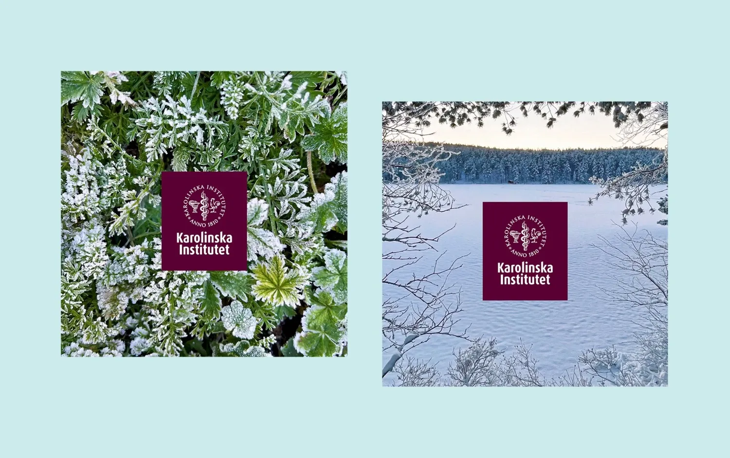 Green leaves and winter landscape.