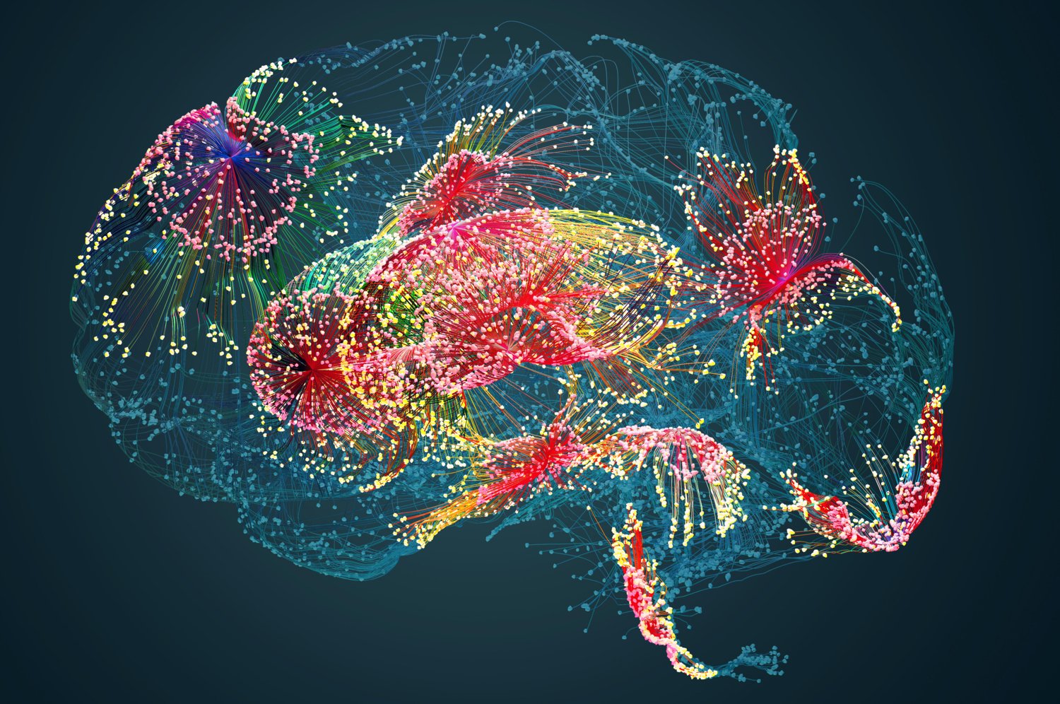 Colourful brain