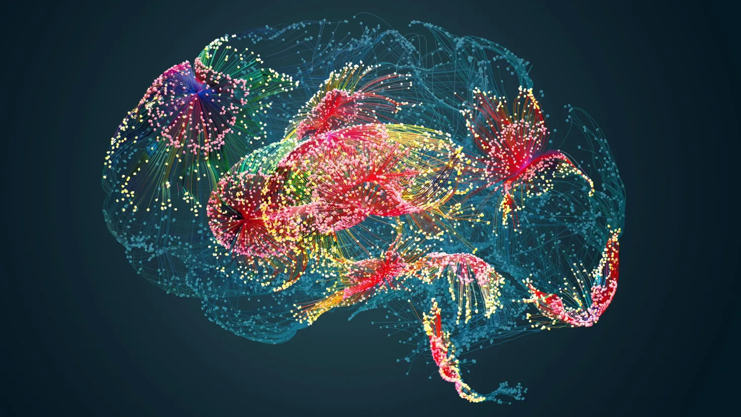 Colourful brain
