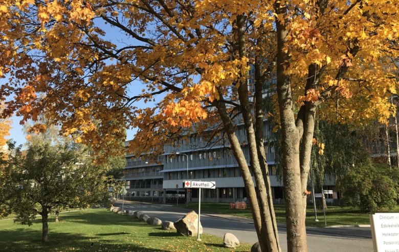Danderyds hospital at autumn