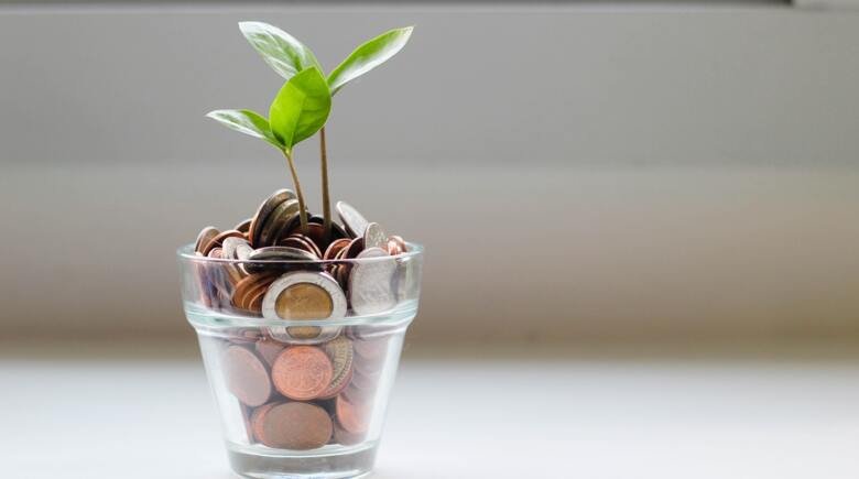 Plant in a glass with coins
