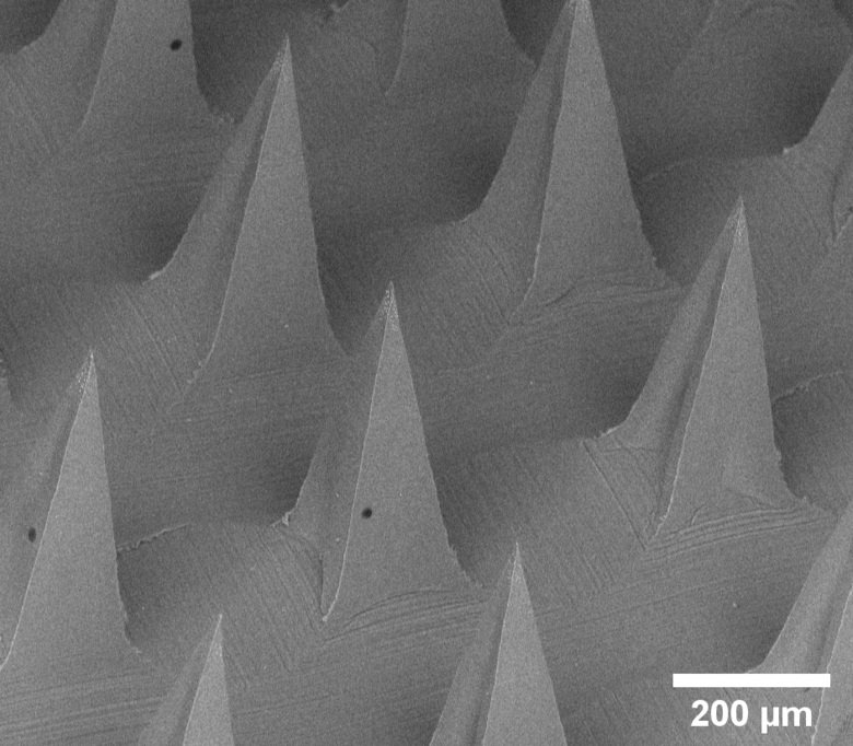 Zooming in on the microneedles