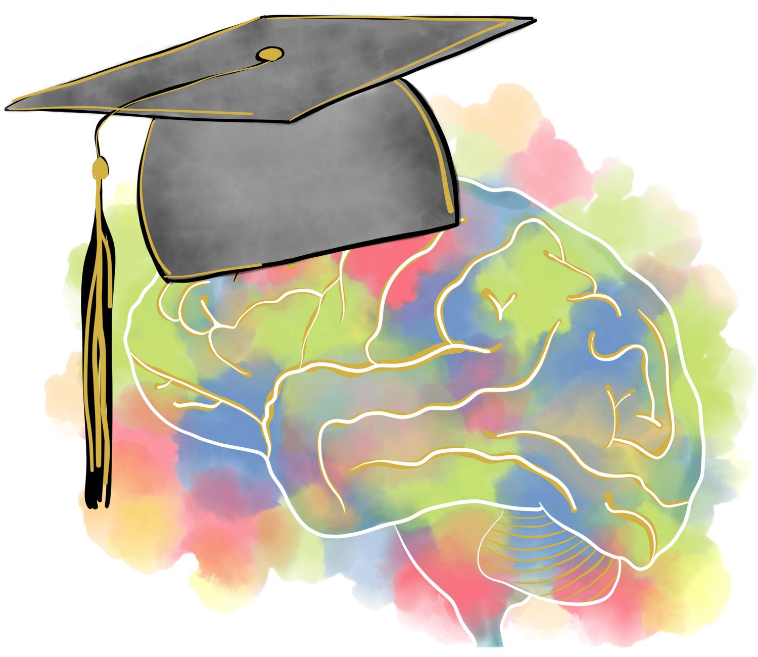 Doctoral hat and illustration of brain on top of coloured areas.