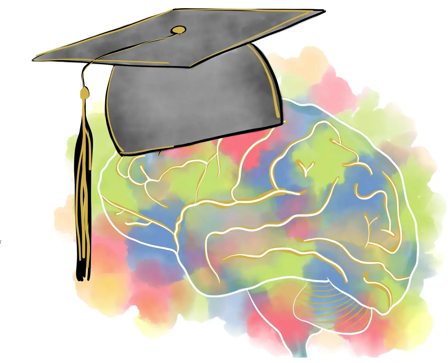 Doctoral hat and illustration of brain on top of coloured areas.