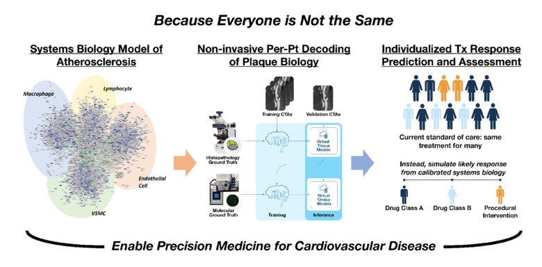 Graphic illustration on how to enable precision medicine in vascular disease