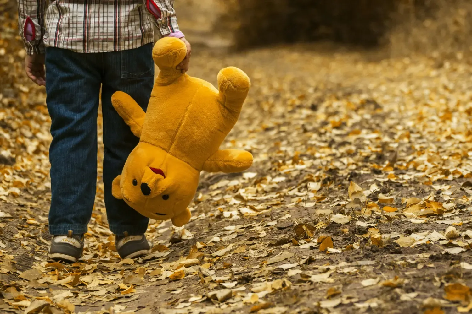 Child with teddybear on a forest road