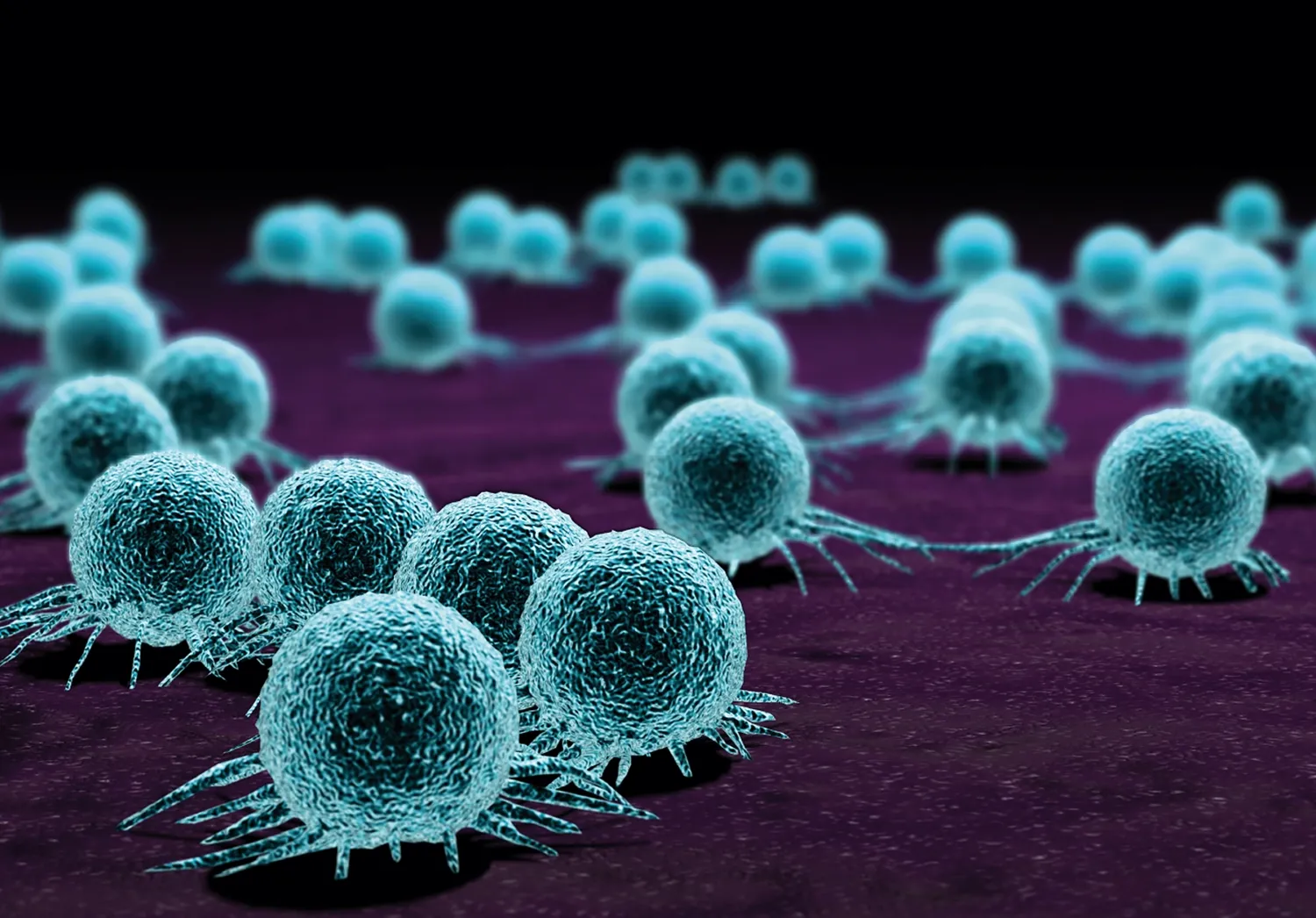 Stock photo of cells