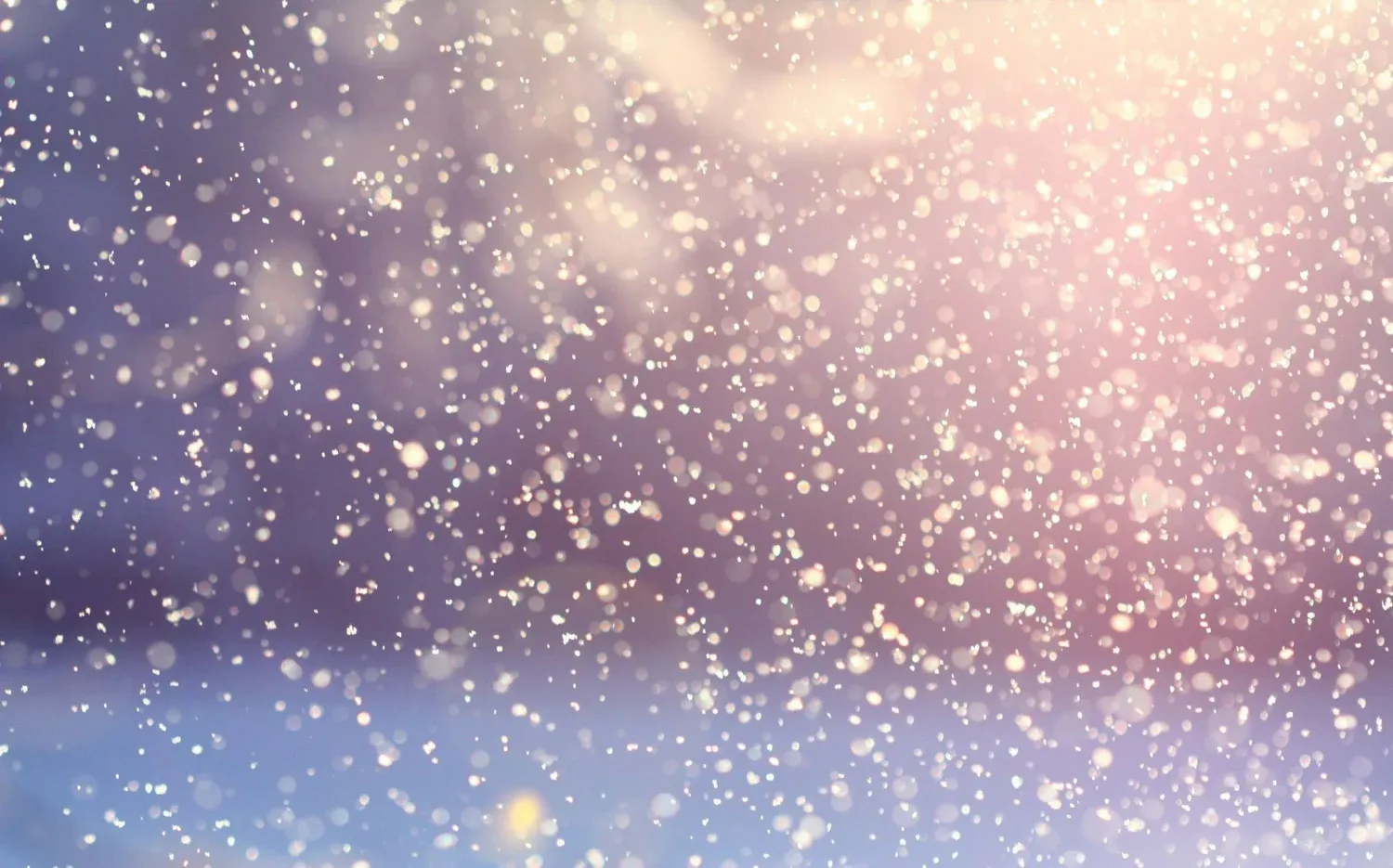 decorative image of snow and winter.