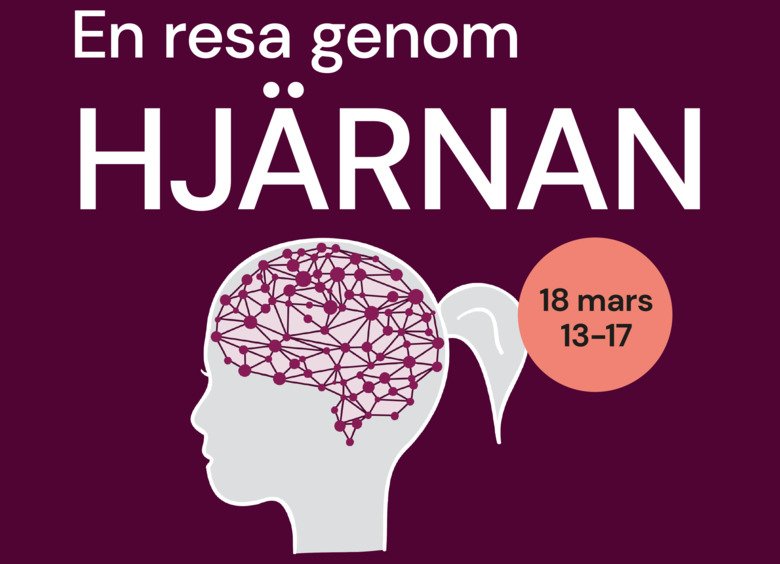 Poster for the open symposium "a journey through the brain"