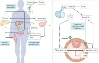 Genetic risk factors for severe COVID-19 identified