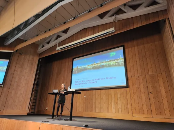 Presentation by researcher at the conference at Vår Gård.