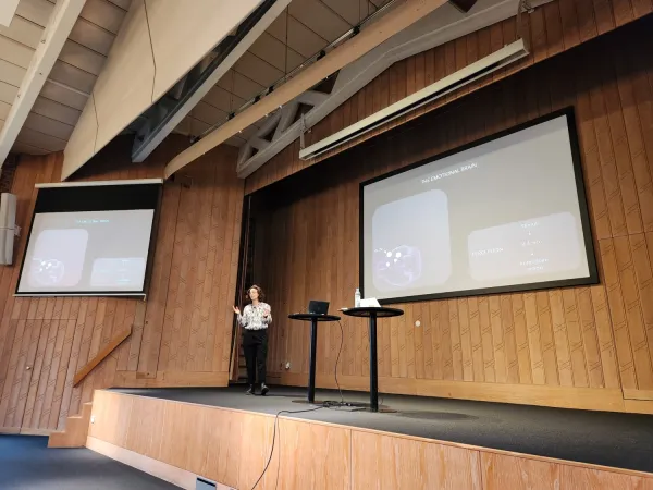 Presentation by researcher at the conference at Vår Gård.