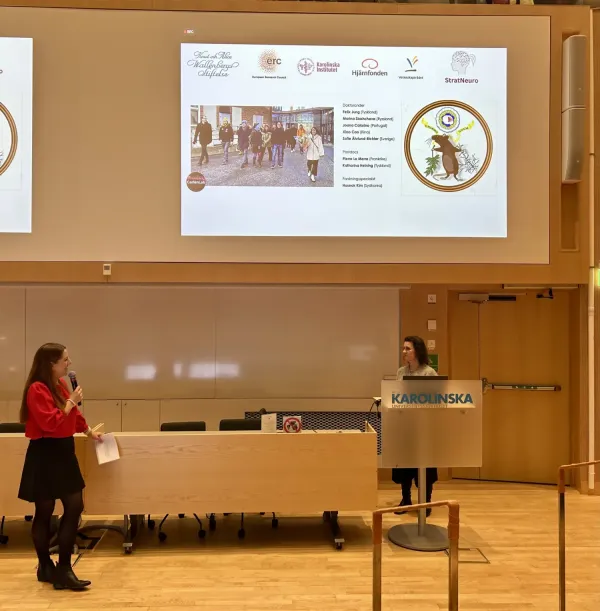 A lecture hall with audience and speaker