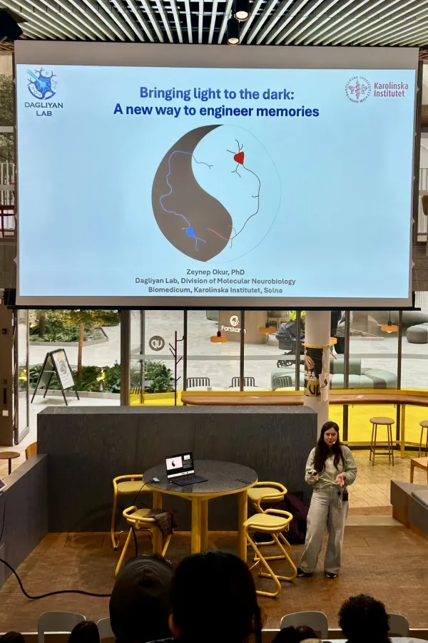 Speaker standing on stage during a presentation
