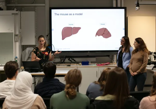 Three women give a powerpoint presentation in a seminar room in front of a seated audience.