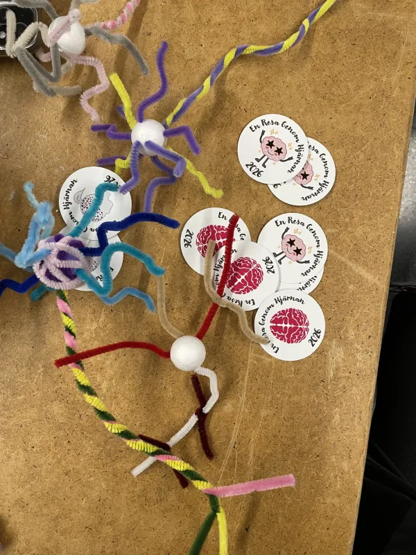 Handcrafted neurons on a table with stickers reading “En resa genom hjärnan”.