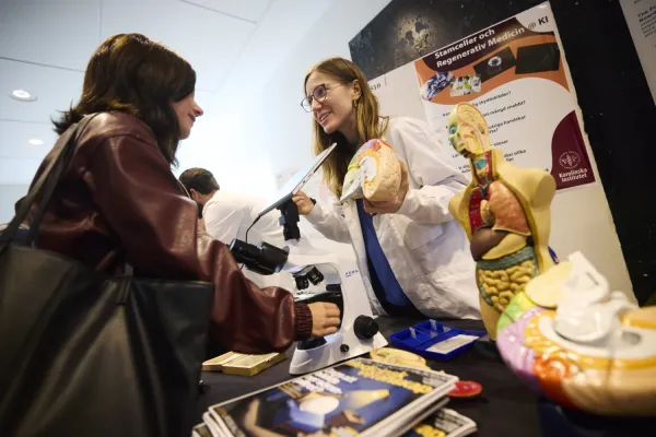 Woman holding a model of the human brain.