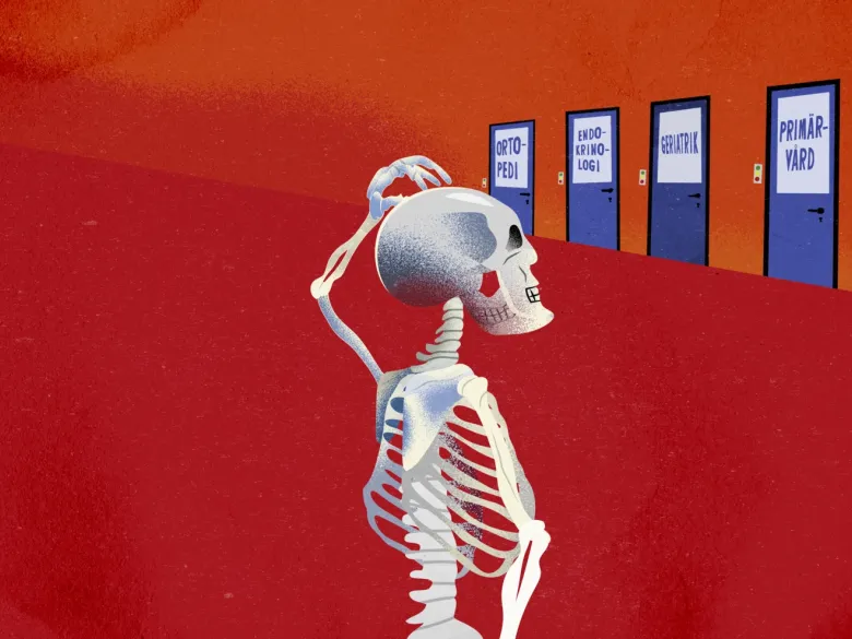 illustration of skeleton