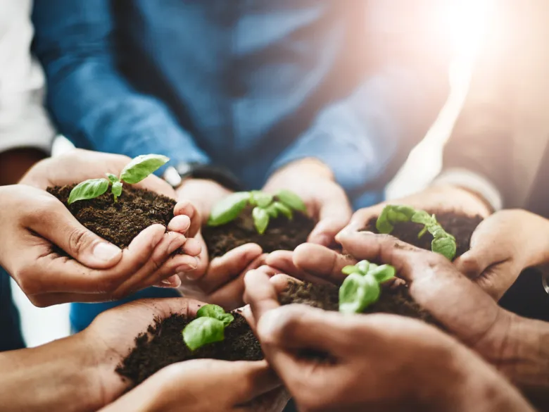 Hands holding plants