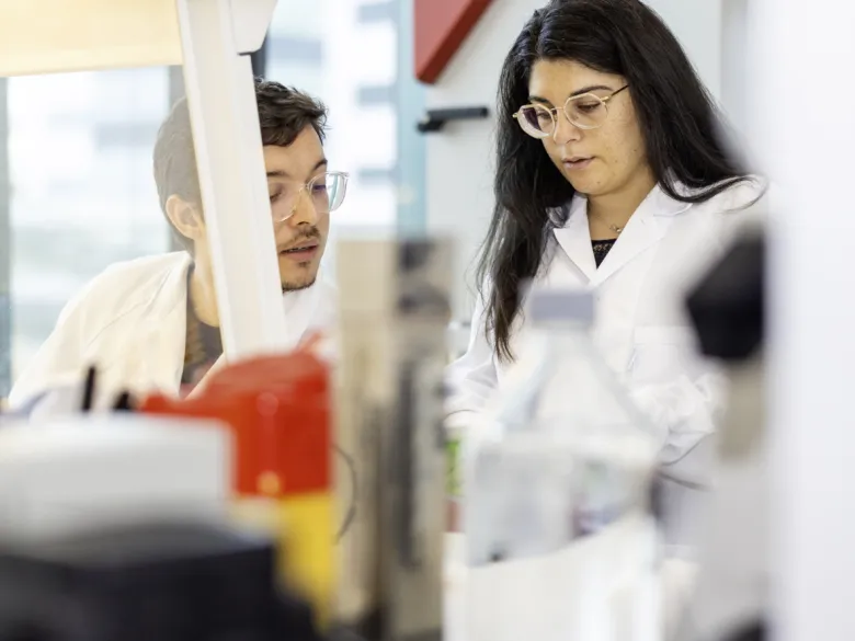 Detail image from lab