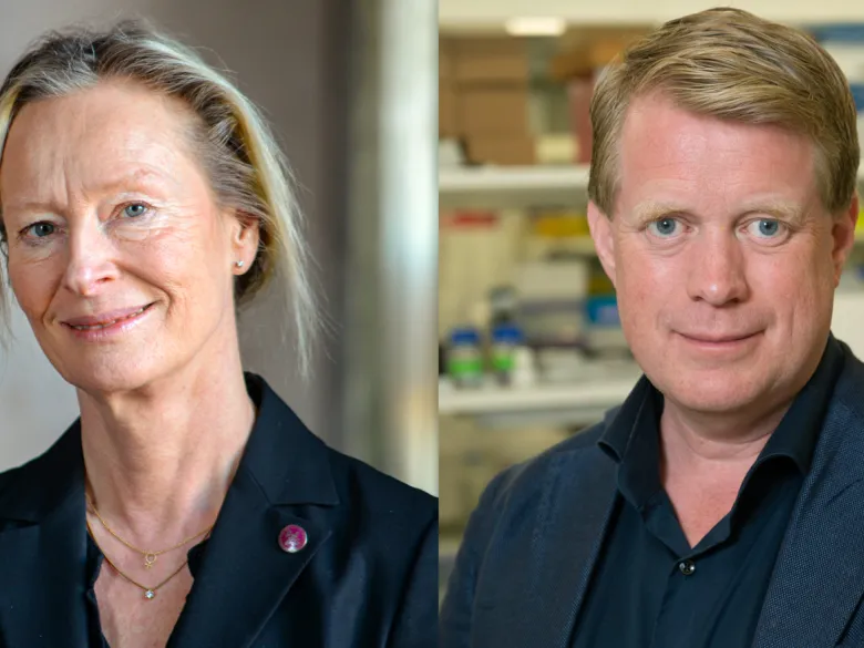 Kristina Gemzell Danielsson and Thomas Helleday.
