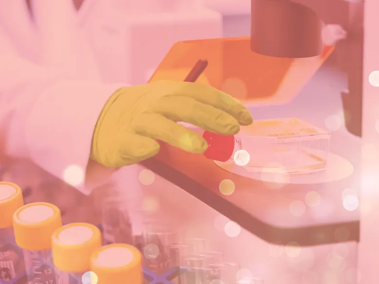 Research image from lab