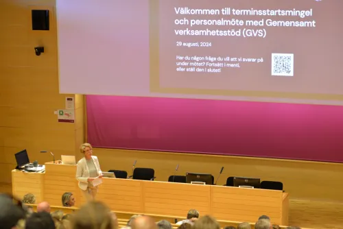 The picture shows a room with unidentified people and University Director Veronika Sundström holding a meeting