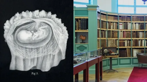 The Fragility of Life