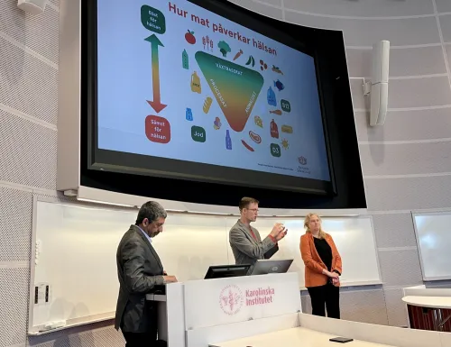 Speakers in front of the presentation.