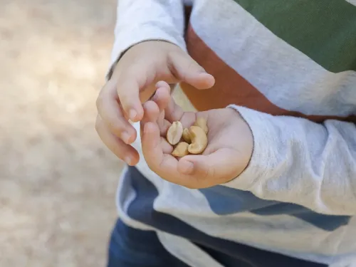 A child holding peanuts