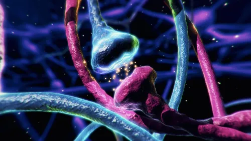 Stock photo, illustration of neurons.