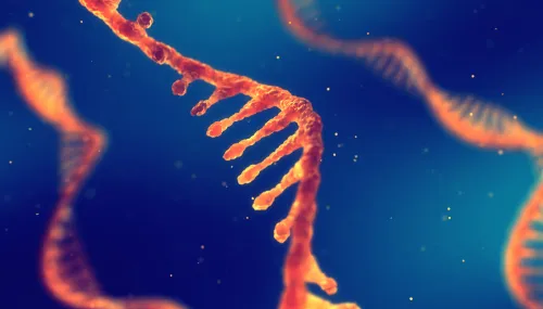 Illustration of a single-stranded RNA molecule with protruding structures.