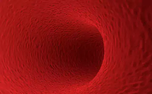 Illustration of red blood cell.
