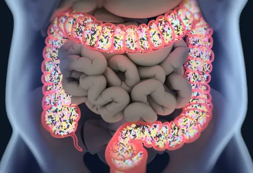 3D illustration of bacteria inside the large intestine.