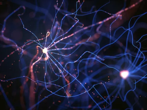 Neuron