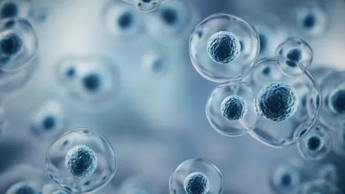 Illustration of stem cells