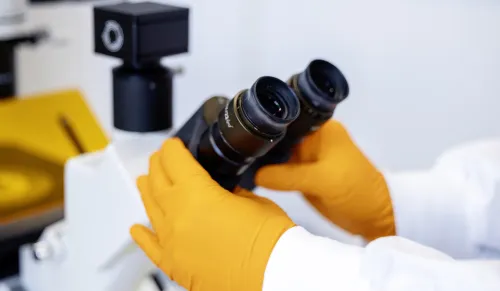 Detail image from lab